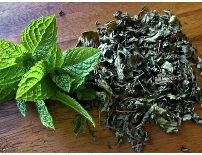 تصویر 1 از فروش خاص سبزی نعنا خشک صادراتی + قیمت رقابتی